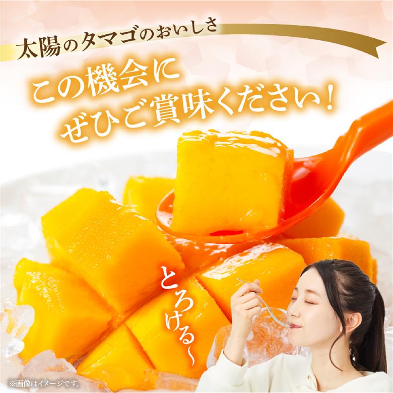 【先行受付】厳選大玉宮崎完熟マンゴー「太陽のタマゴ」　2玉　計１キロ程度（フルーツ 2026 マンゴー 先行予約 太陽のタマゴ 宮崎 小林市 果物 人気）