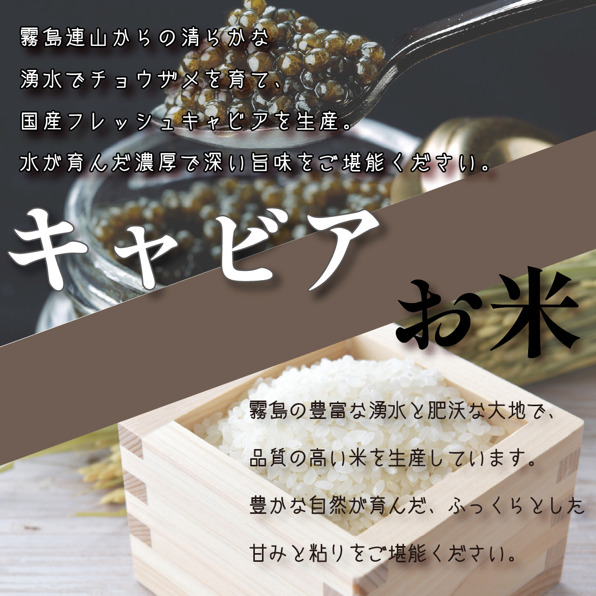 【定期便・全11回】日本一宮崎牛と小林市の魅力満載!!! 小林満足ワクワク定期便 30万円コース（国産 牛肉 国産牛 黒毛和牛 マンゴー お菓子 豚肉 鶏肉 キャビア 定期便） 全11回ワクワク定期便