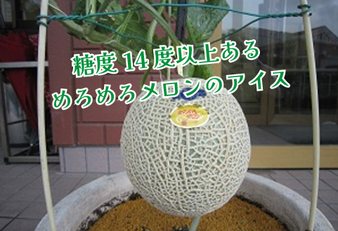 めろめろメロンと宮崎マンゴーアイスセット（アイス シャーベット マンゴー メロン スイーツ）
