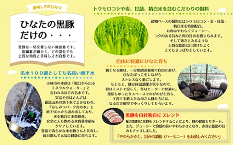 【料理王国100選に選出!!】ひなたの黒豚焼肉セット 700g（豚肉 黒豚 豚 豚バラ バラ ロース 焼肉 小分け）