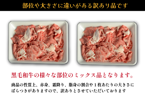 【12/22から寄附額改定】【黒毛和牛専門店直送】厳選黒毛和牛切り落とし 1.0kg（500g×2P 国産 牛肉 和牛 薄切り スライス 切り落とし 赤身 訳あり 特別提供）