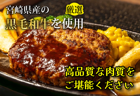 【12/22から寄附額改定】黒毛和牛専門店の宮崎県産黒毛和牛ハンバーグ 19個 （牛肉 訳あり 惣菜 ハンバーグ 個包装 小分け 冷凍 人気）