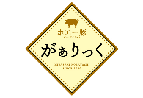 精肉店の特製和牛もつ鍋 味噌味 セット（国産牛 牛肉 ホルモン 牛もつ 豚バラ モツ鍋 鍋セット）