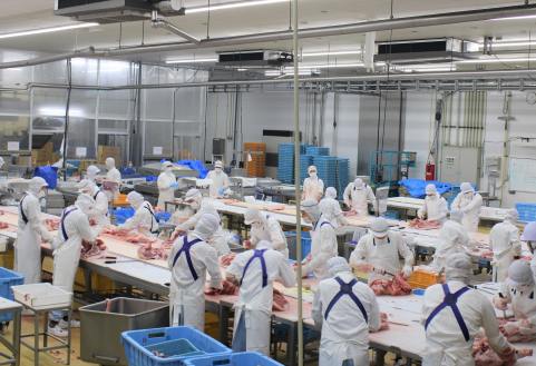 【定期便・全3回】九州産 豚肉満足 切り落とし 定期便（豚肉 切り落とし 小間切れ 定期便）