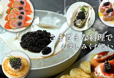 【定期便・全6回】＜国際線ファーストクラス採用＞宮崎キャビア1983  30g×6回（国産 キャビア 魚卵 宮崎県 宮崎 小林市 定期便）