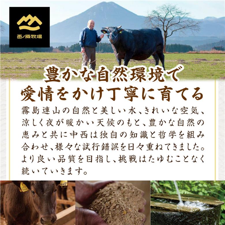 宮崎県西ノ原牧場・なかにし和牛こま切れ 1kg（国産 牛肉 肉 宮崎牛 黒毛和牛 お肉 こま切れ なかにし和牛 焼肉 人気 肉じゃが 牛丼 ） 500g×2P
