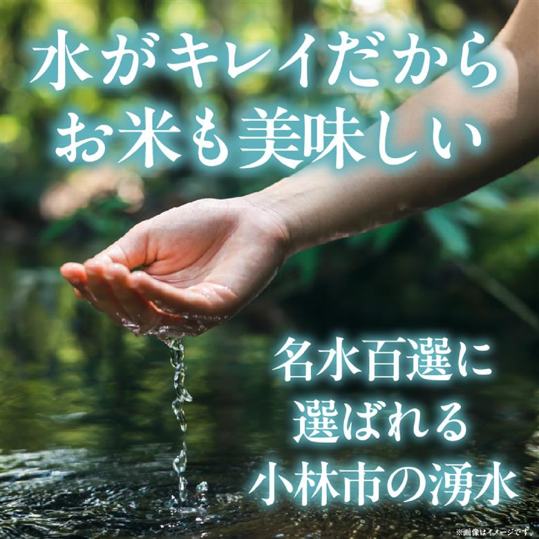 【生活応援米】湧水で育った小林市産ブレンド米 5kg（5kg×1袋 お米 米 ブレンド米 白米 精米 家庭用） 5kg×1袋