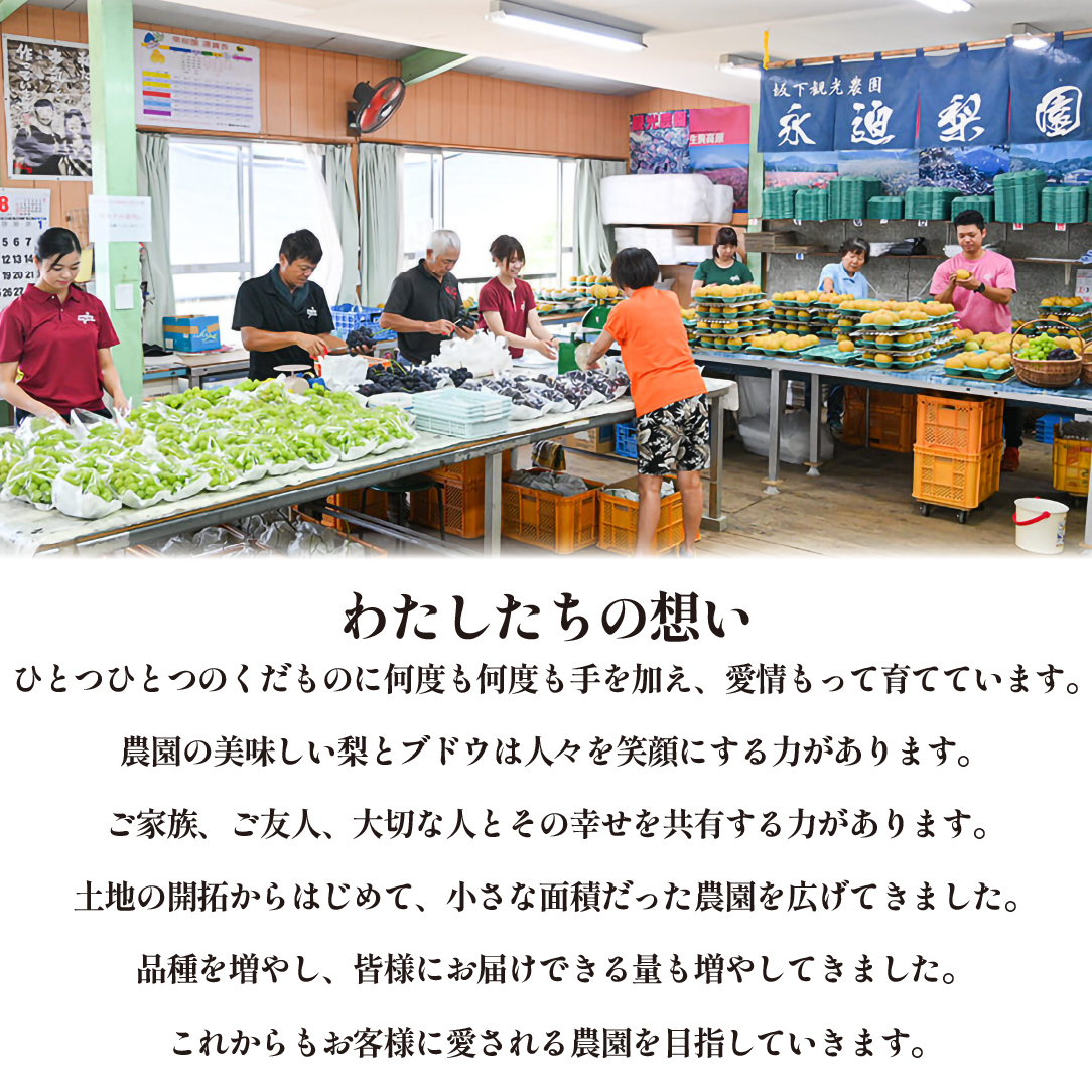 【2026年発送 先行予約】旬の梨詰め合わせ 4kg（梨 なし ナシ 果物 フルーツ 2026 先行受付 限定）