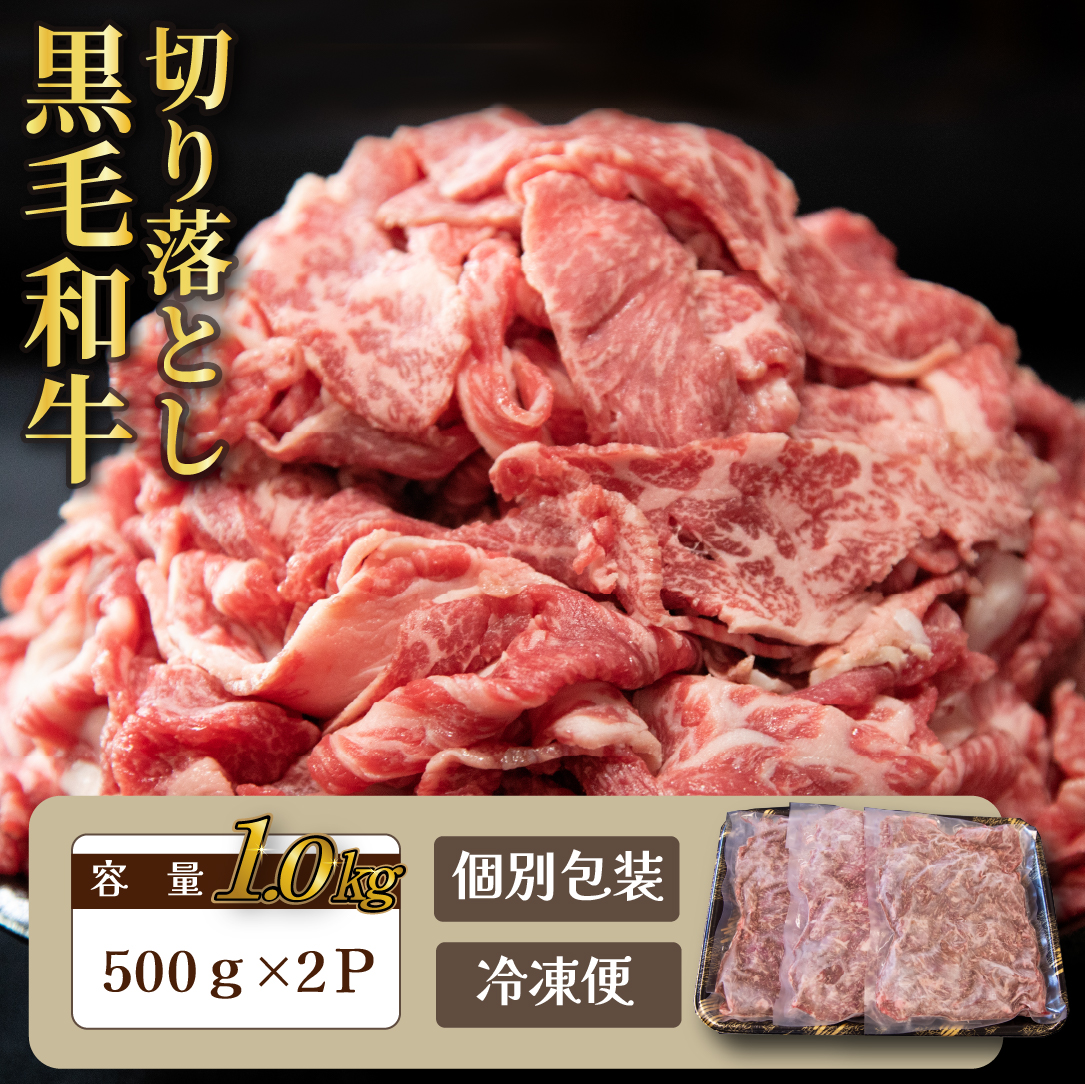 【選べる容量】【人気精肉店からお届け】小林市産黒毛和牛切り落とし 1kg （牛肉 黒毛和牛 訳あり 切り落とし 小間切れ 赤身 小分け） 1.0kg