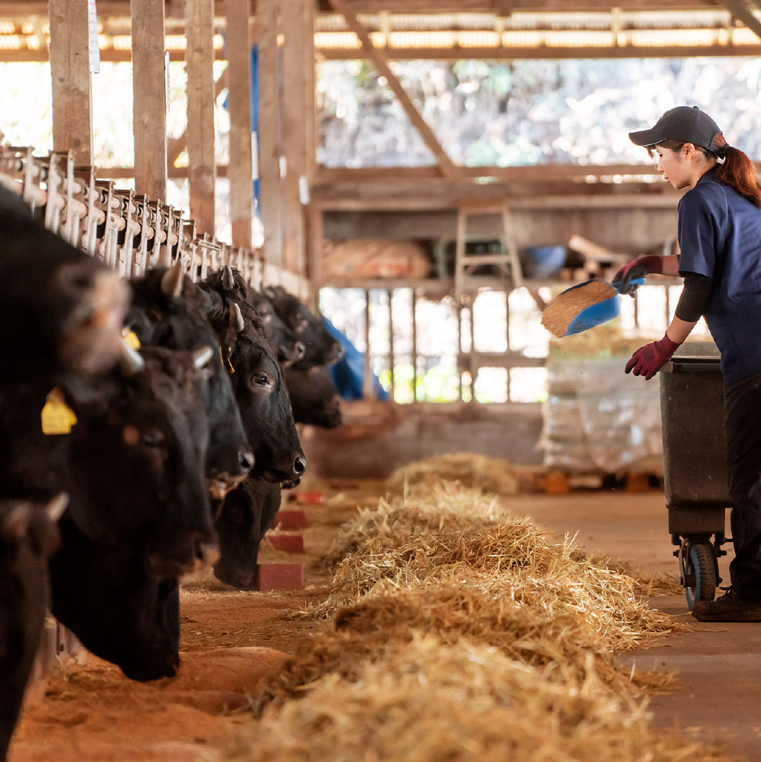 【ANA限定】黒毛和牛 赤身 焼肉 800g（国産 牛肉 和牛 赤身 モモ ウデ 焼肉 BBQ 限定 ANAオリジナル）