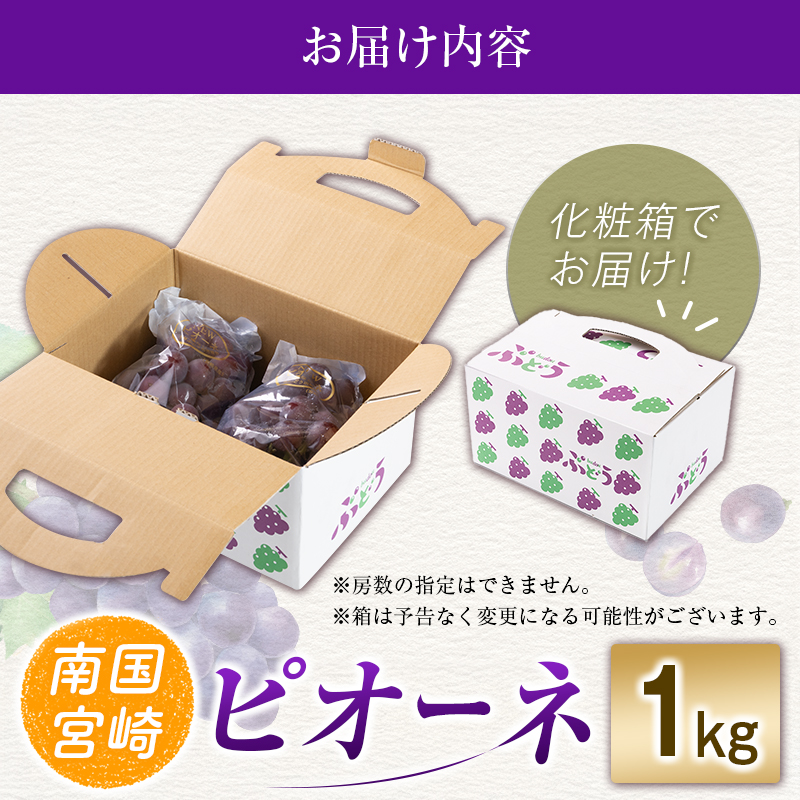 【令和8年発送 先行予約】小林市産 ピオーネ 1kg（ぶどう ブドウ ピオーネ フルーツ 果物 くだもの 先行受付 限定）  1.0kg程度