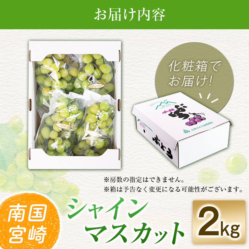 【令和8年発送 先行予約】小林市産 シャインマスカット 2kg（ブドウ ぶどう シャインマスカット マスカット フルーツ 果物 先行受付 限定） 2.0kg程度