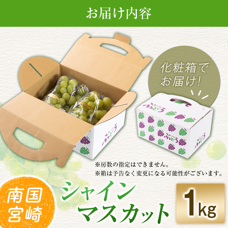 【令和8年発送 先行予約】小林市産 シャインマスカット 1kg（ブドウ ぶどう シャインマスカット マスカット フルーツ 果物 先行受付 限定） 1.0kg程度