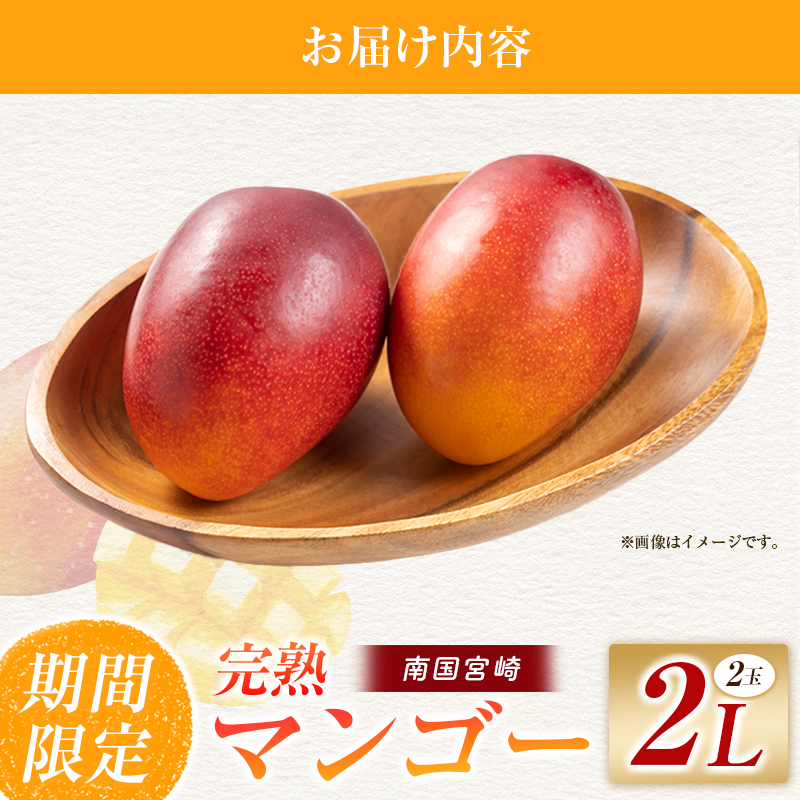 【令和8年発送 先行予約】完熟マンゴー 2L×2玉（フルーツ マンゴー 完熟マンゴー アップルマンゴー 果物 くだもの 先行受付） ２L×２玉