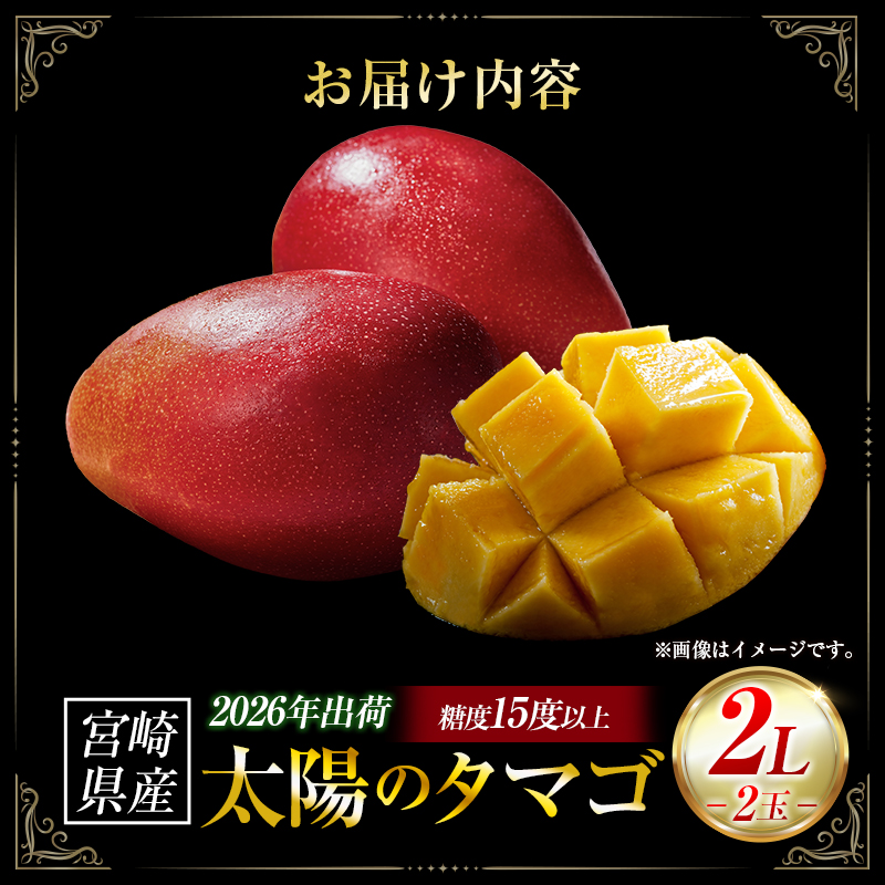 【令和8年発送 先行予約】完熟マンゴー「太陽のタマゴ」 2L×2玉（フルーツ マンゴー 完熟マンゴー アップルマンゴー 果物 くだもの 先行受付） ２L×２玉