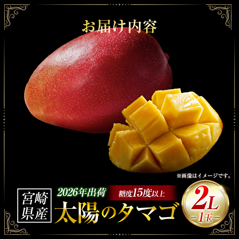 【令和8年発送 先行予約】完熟マンゴー「太陽のタマゴ」 2L×1玉（フルーツ マンゴー 完熟マンゴー アップルマンゴー 果物 くだもの 先行受付） ２L×１玉