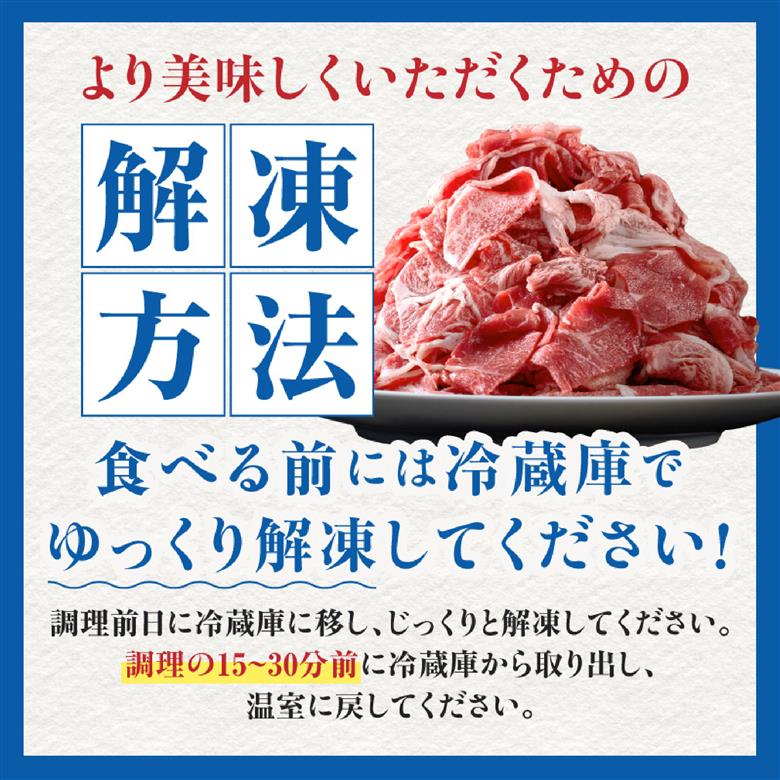 【訳あり】A4等級以上 宮崎牛切り落とし 500g×2P 計1kg（内閣総理大臣賞 A4 A5 宮崎牛 牛肉 黒毛和牛 赤身 切り落とし 小間切れ 宮崎県）
