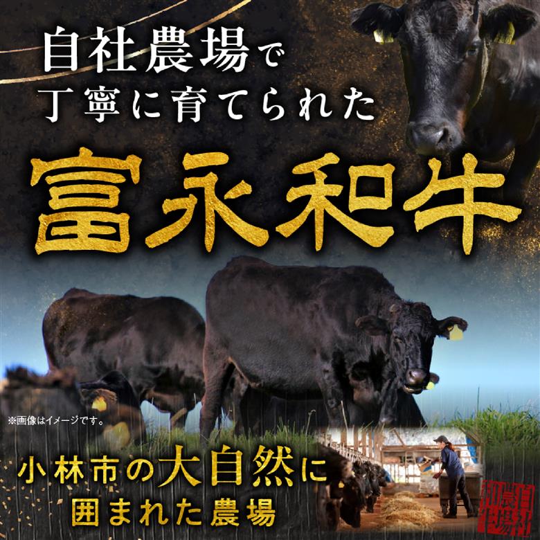 【自社牧場和牛】小林市産 黒毛和牛 赤身ステーキ 200g×4枚（牛肉 国産牛 黒毛和牛 和牛 赤身 ステーキ お肉 宮崎県） 200g×4枚
