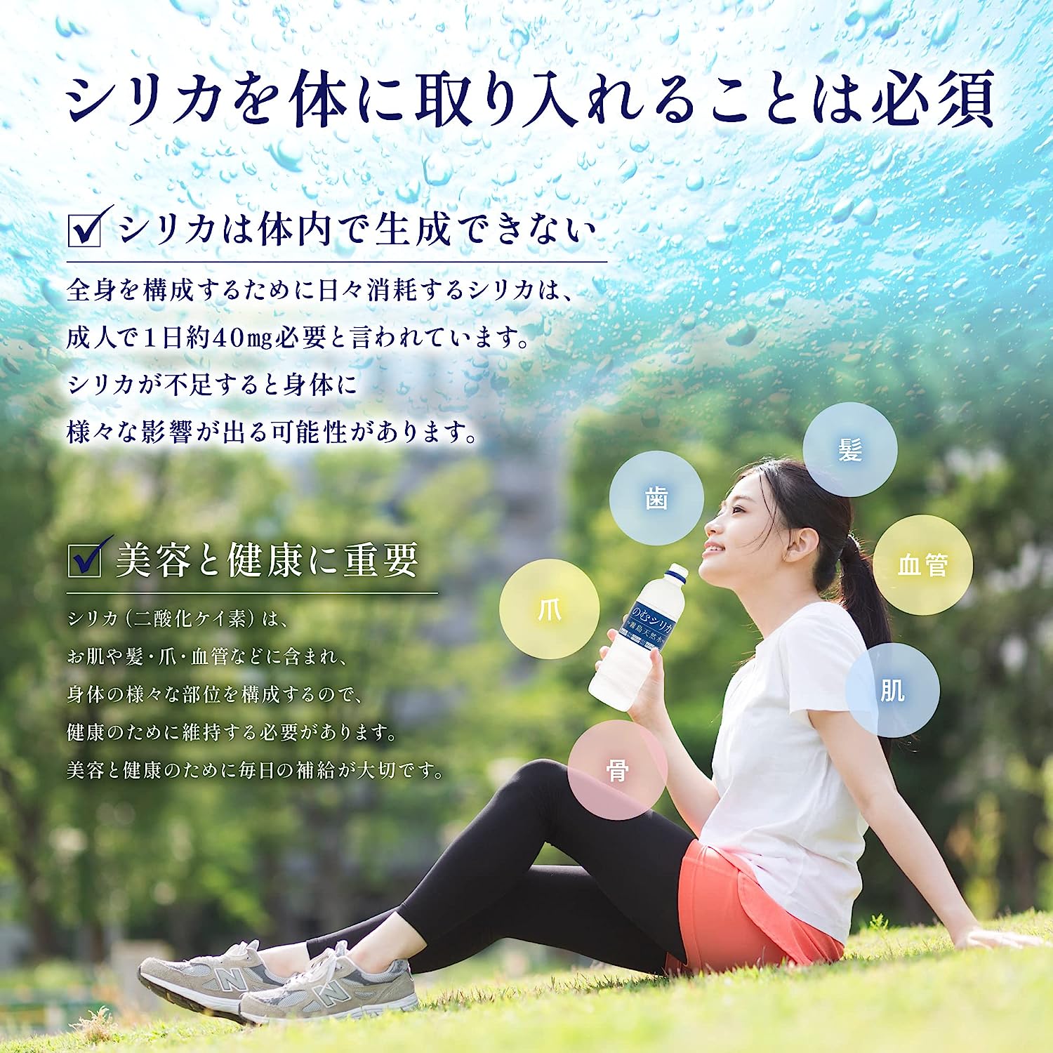 【選べる容量】【定期便12回】のむシリカ 500ml×24本（ 国産 ナチュラルウォーター ミネラルウォーター 天然水 水 シリカ シリカ水 美容 人気 霧島 定期便 宮崎） 500ml×24本×12か月