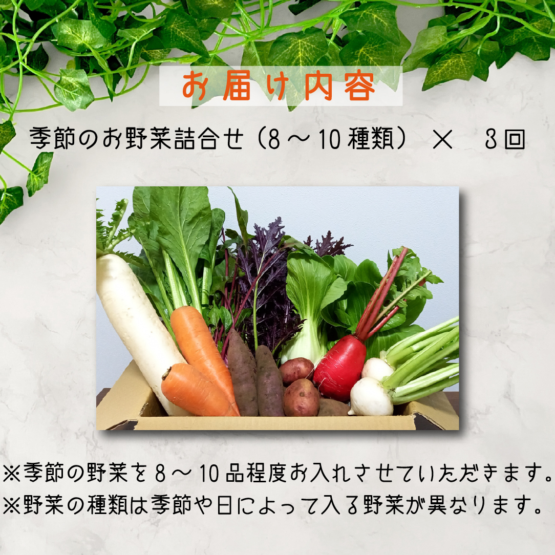 【定期便 全3回】季節の野菜詰め合わせセット（新鮮 採れたて 野菜 セット 定期便 詰め合わせ 宮崎県） ３回定期