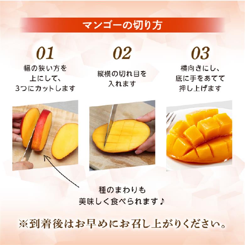 【先行受付】厳選宮崎完熟マンゴー「太陽のタマゴ」よくばり3玉 計1kg程度（マンゴー 完熟マンゴー 太陽のタマゴ フルーツ 先行予約 宮崎 果物）