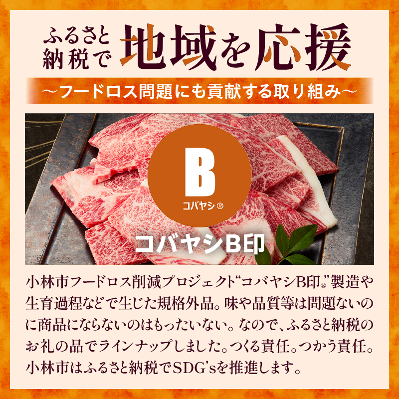 A4等級以上 宮崎牛 訳あり 焼肉 バラエティパック 1kg（牛肉 肉 お肉 黒毛和牛 宮崎牛 ブランド牛 内閣総理大臣賞4大会連続受賞）