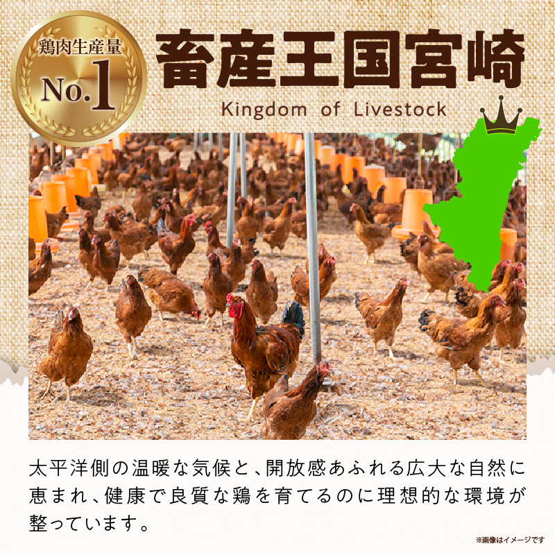 【テレビで話題！元祖ざる焼き小林養鶏】宮崎県産若鶏もも肉カット 3.3kg（300g×11P 国産 鶏肉 若鶏 モモ カット済み 小分け 唐揚げ チキン南蛮 大容量 冷凍） 300g×11P