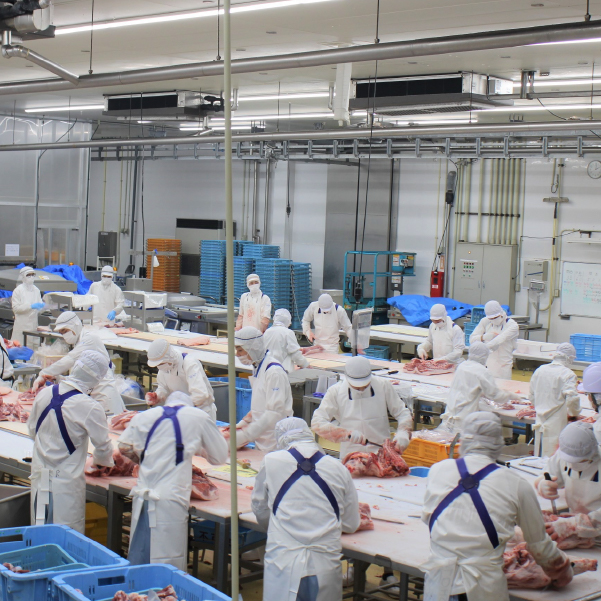 【定期便 全3回】牛肉満喫定期便（牛肉 黒毛和牛 ステーキ 切り落とし サーロイン 定期便 小分け）