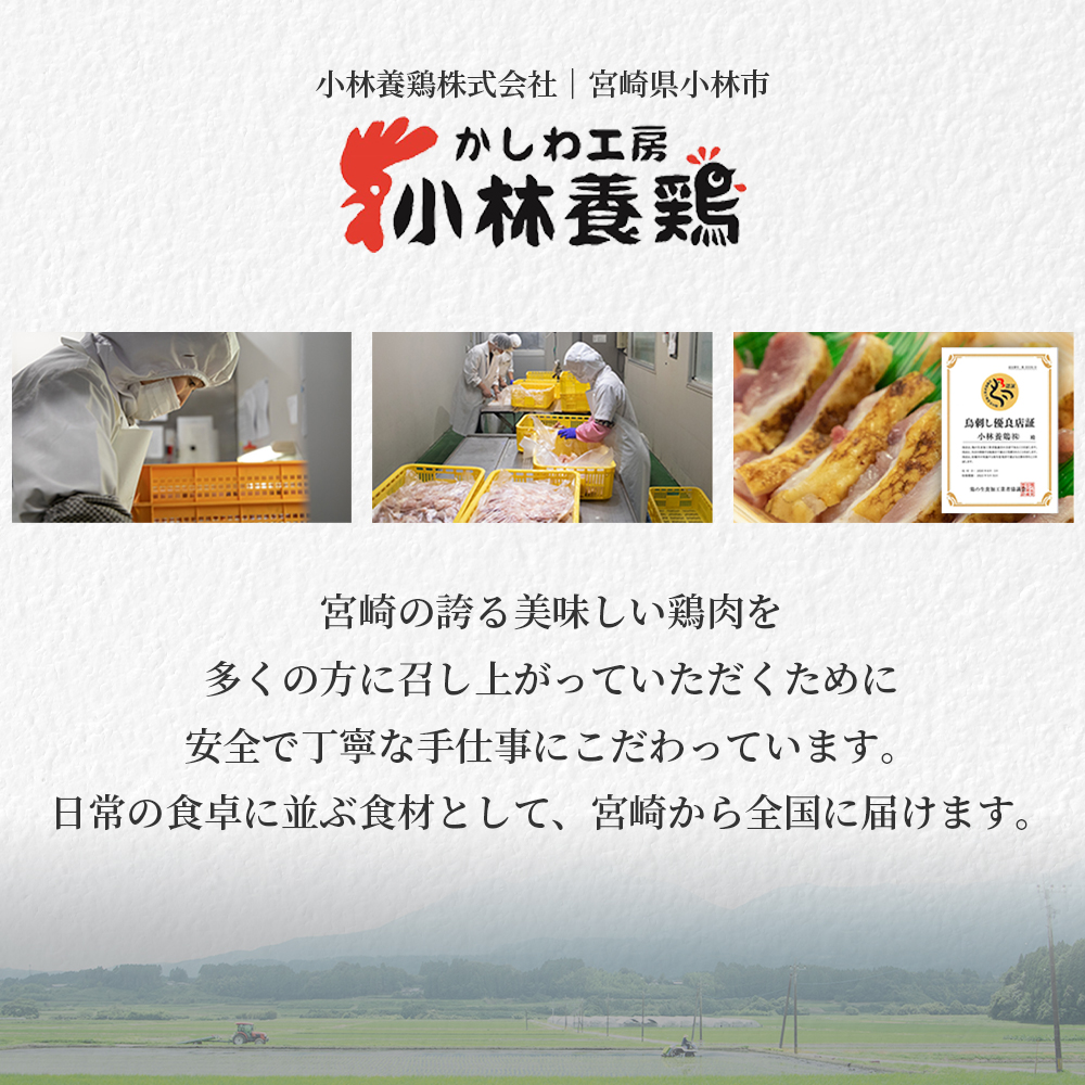 【テレビで紹介！元祖ざる焼き小林養鶏】濃厚 水炊き セット 5～6人前 計2.5kg（鶏肉 もも肉 鶏もも 水炊き 鶏白湯 つくね 餃子 ギョウザ 鍋 鍋セット）