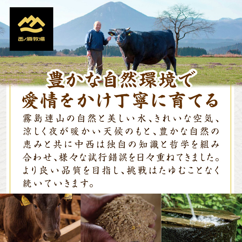 【定期便 全3回】宮崎県西ノ原牧場・なかにし和牛バラエティ定期便（牛肉 黒毛和牛 焼肉 小間切れ ハンバーグ 定期便） ３回定期
