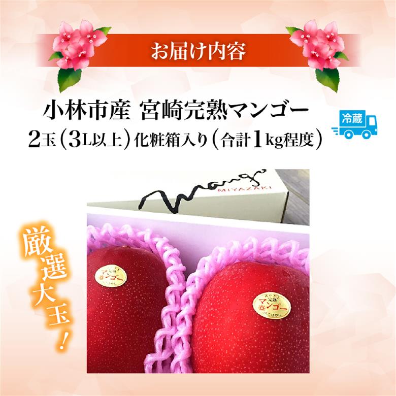 【先行受付】厳選大玉宮崎完熟マンゴー 2玉 計1kg程度（フルーツ 2026 マンゴー 先行予約 完熟マンゴー 宮崎 小林市 果物 人気）