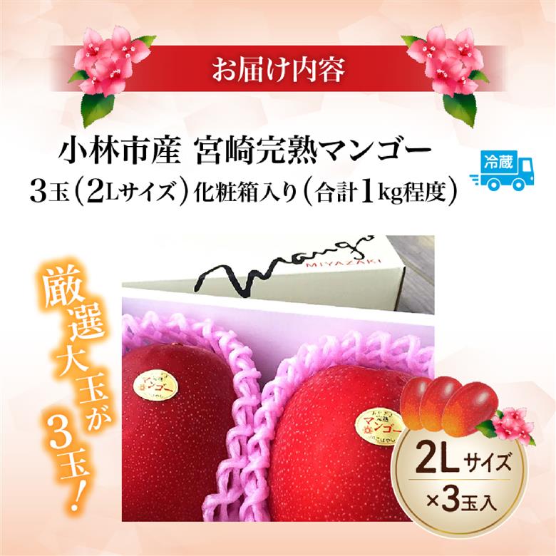 【先行受付】厳選宮崎完熟マンゴーよくばり3玉 計1kg程度（フルーツ 2026 マンゴー 先行予約 完熟マンゴー 宮崎 小林市 果物 人気）
