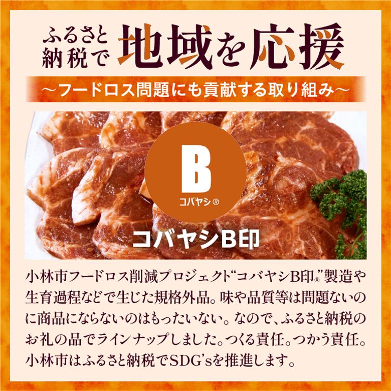 【旨味凝縮！】お肉屋さんの宮崎ポーク熟成味噌漬け 1.8㎏（国産 肉 豚肉 国産豚 ポーク 味噌漬け 小分け ステーキ 冷凍 惣菜 宮崎 小林市）