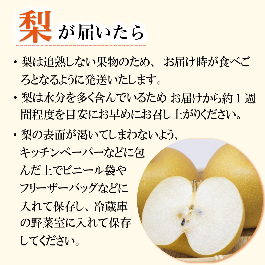 【先行予約 令和8年発送】シャインマスカット等と旬の梨セット計2kg（フルーツ 果物 くだもの シャインマスカット ブドウ 先行受付 2026 贈答用 プレゼント 限定）