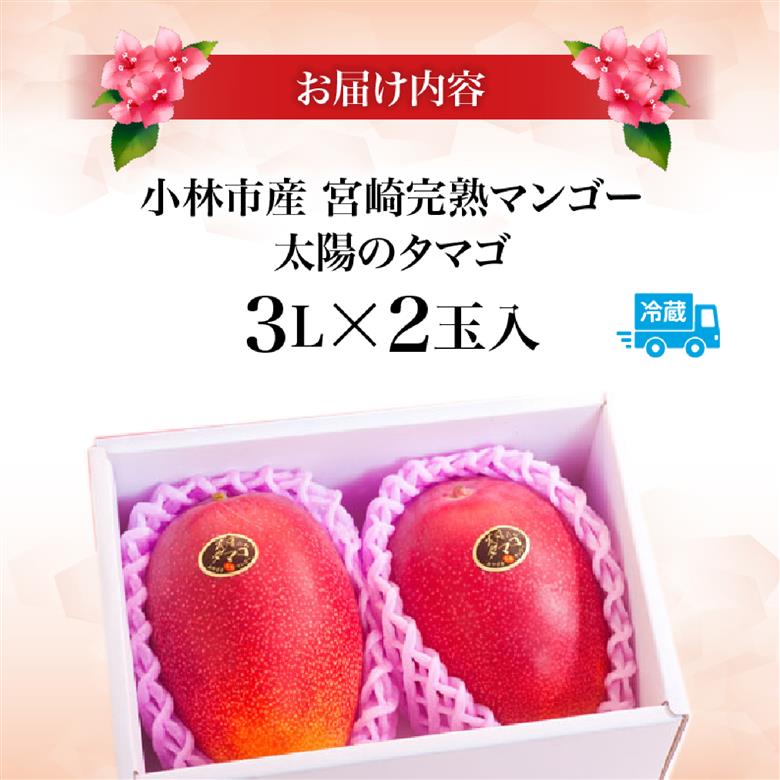 【先行受付】厳選大玉宮崎完熟マンゴー「太陽のタマゴ」　2玉　計１キロ程度（フルーツ 2026 マンゴー 先行予約 太陽のタマゴ 宮崎 小林市 果物 人気）