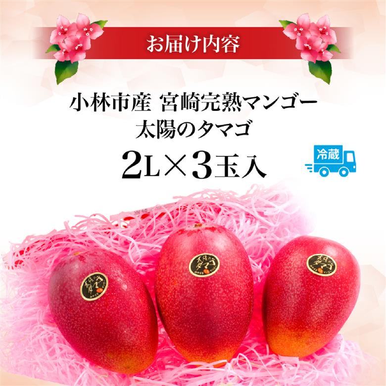 【先行受付】厳選宮崎完熟マンゴー「太陽のタマゴ」よくばり3玉 計1kg程度（マンゴー 完熟マンゴー 太陽のタマゴ フルーツ 先行予約 宮崎 果物）