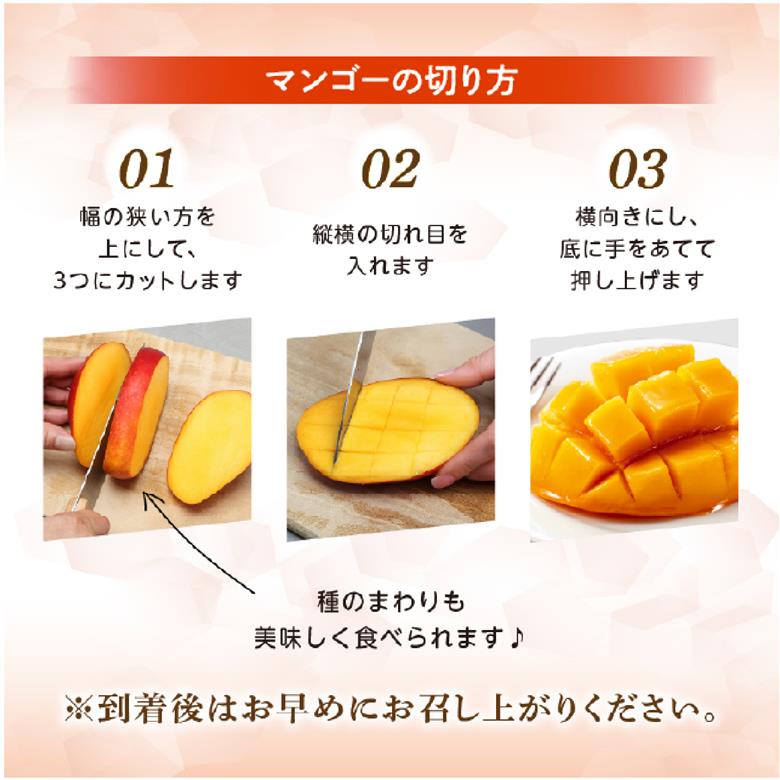 【先行予約！マンゴー定期便・全2回】小林市産 完熟マンゴー 「太陽のタマゴ」コース（定期便 フルーツ フルーツ定期便 2026 マンゴー 先行予約 太陽のタマゴ 宮崎 小林市 果物 人気）