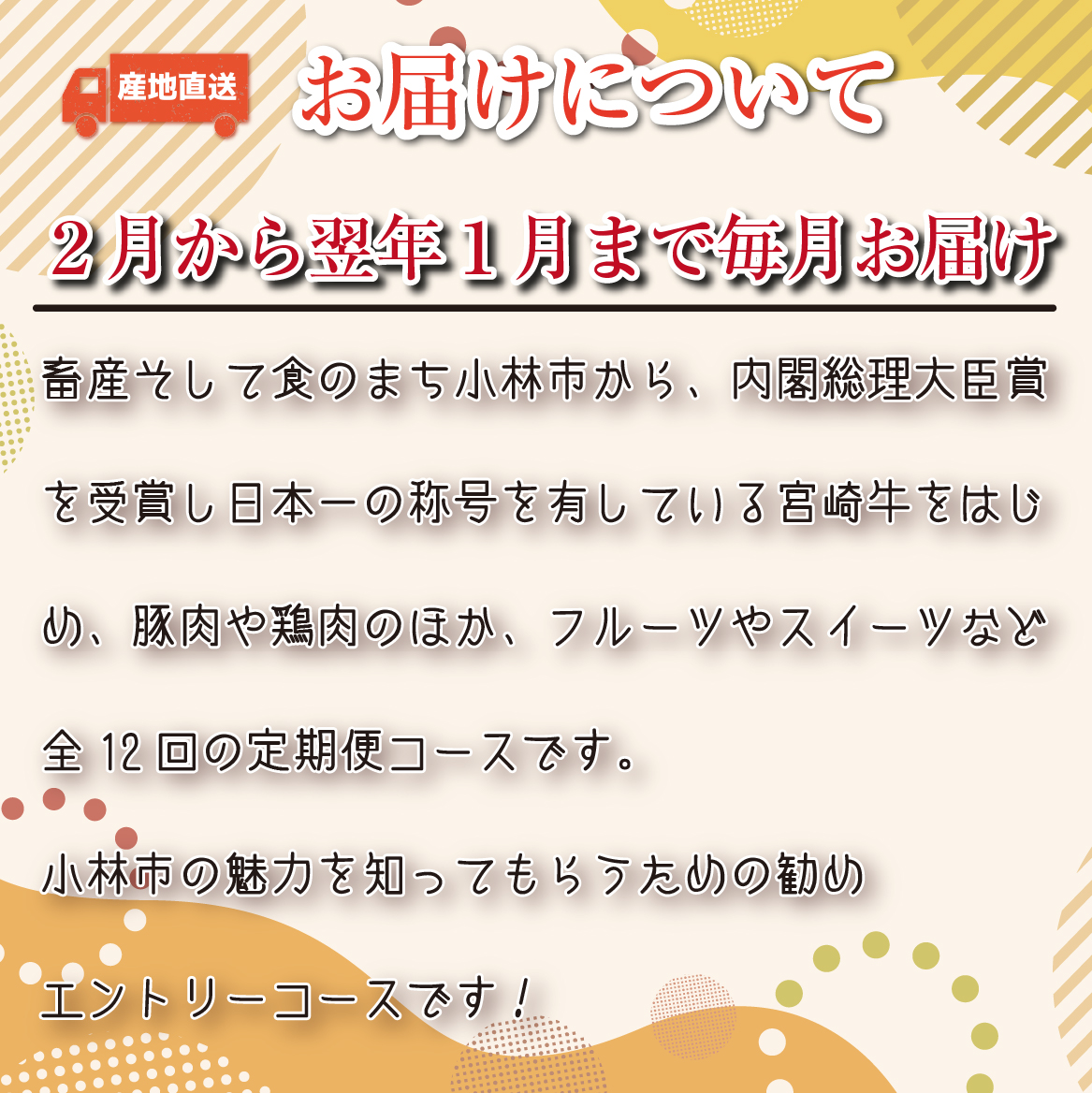 【定期便・全11回】日本一宮崎牛と小林市の魅力満載!!! 小林満足ワクワク定期便 30万円コース（国産 牛肉 国産牛 黒毛和牛 マンゴー お菓子 豚肉 鶏肉 キャビア 定期便） 全11回ワクワク定期便