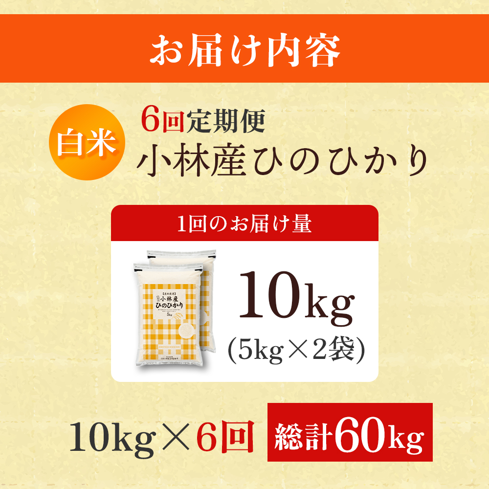 【定期便 全6回】【令和7年産米】ヒノヒカリ 10kg×6回 お米 米 新米 ヒノヒカリ 国産 人気 お弁当 宮崎県 小林市 10kg（5kg×2袋）×6回