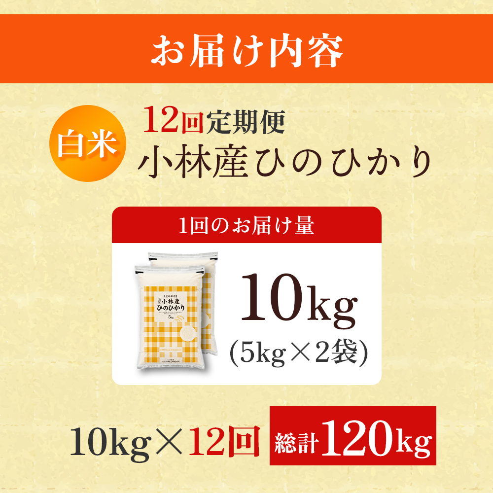 【定期便 全12回】【令和7年産米】ヒノヒカリ 10kg×12回 お米 米 新米 ヒノヒカリ 国産 人気 お弁当 宮崎県 小林市 10kg（5kg×2袋）×12回