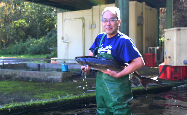 【年内発送】【純国産キャビア】オシェトラキャビア 40g 皇帝の涙 国産 チョウザメ 魚卵 宮崎県 小林市