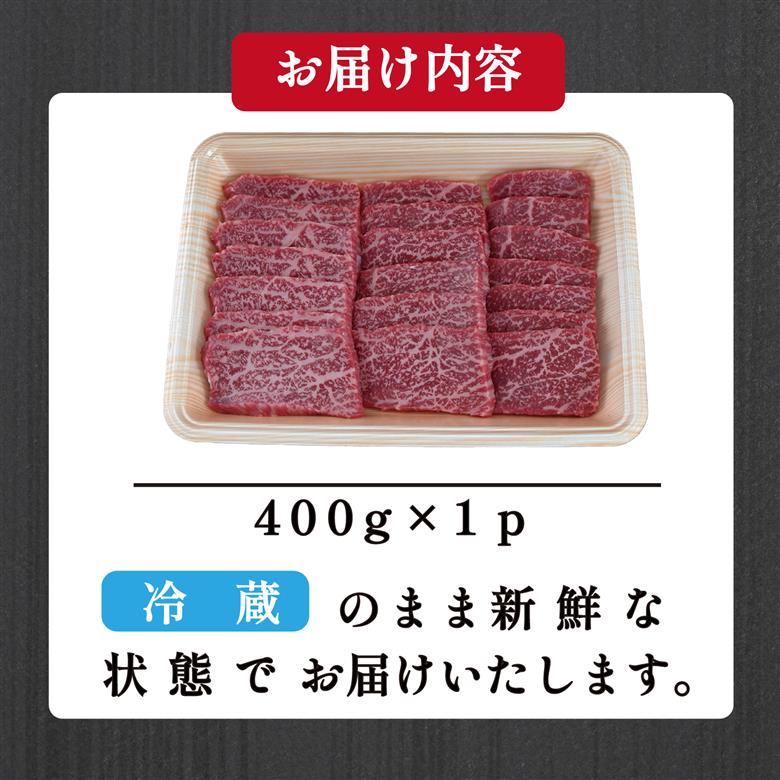 【A5等級】宮崎牛特選赤身焼肉 400g  宮崎牛 プレミアムシリーズ ブランド牛 和牛 牛肉 焼肉 特選和牛 赤身 A5 宮崎県 小林市 400g×1P