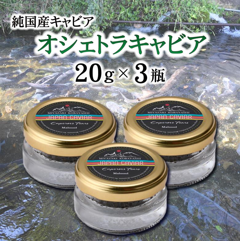 【純国産キャビア】オシェトラキャビア 60g 皇帝の涙 国産 チョウザメ 魚卵 宮崎県 小林市