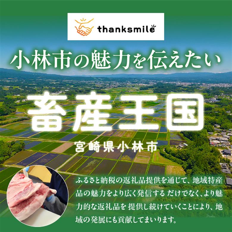 【A4等級以上】宮崎牛ロース焼肉用スライス 400g（内閣総理大臣賞 A4 A5 宮崎牛 牛肉 黒毛和牛 焼肉 ロース 宮崎県）