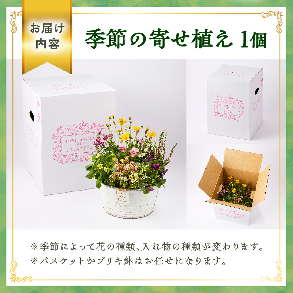 【お手軽ガーデニング】季節の寄せ植え（風の丘ガーデン） ギフト寄せ植え 贈答用寄せ植え 母の日 誕生日 記念