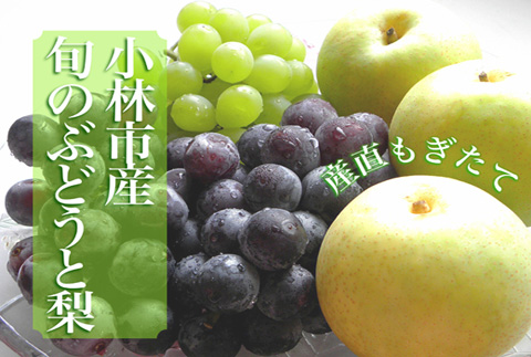 【令和7年発送・先行予約】シャインマスカット等と梨の詰め合わせセット 2kg（国産 フルーツ 果物 くだもの ブドウ ナシ 旬 2025 限定）