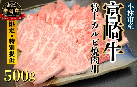 【直売・特別提供品】A5等級 小林市産宮崎牛特上カルビ焼肉用 500g（国産 牛肉 国産牛 和牛 黒毛和牛 宮崎牛 カルビ 上カルビ  焼肉）