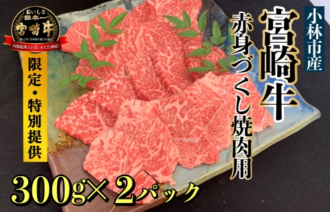 【数量限定】A5等級 小林市産宮崎牛赤身づくし焼肉用 600g（内閣総理大臣賞4大会連続受賞 牛肉 黒毛和牛 宮崎牛 牛肉 お肉 焼肉）