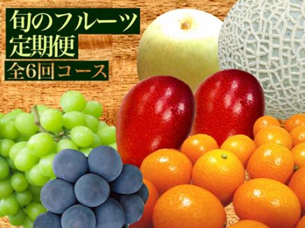 【先行予約！フルーツ定期便：全6回】こばやし季節のフルーツ Bコース（先行予約 先行受付 国産 フルーツ シャインマスカット マンゴー 数量限定 産地直送）