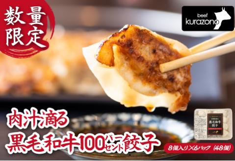 【数量限定】黒毛和牛100％餃子 計48個（8個×6P 黒毛和牛 餃子 ギョーザ 中華 限定 冷凍）
